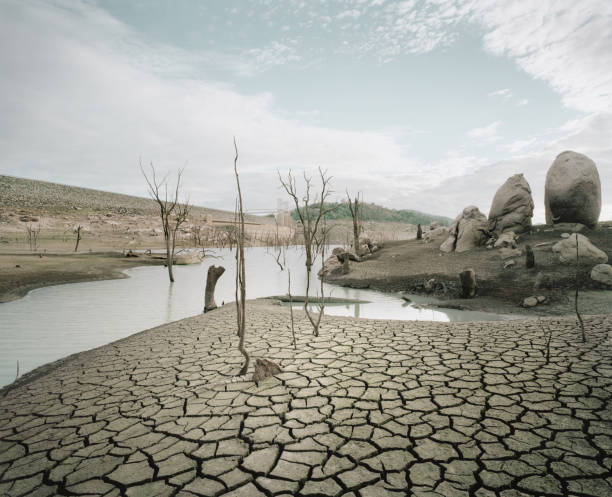 Del calor récord a las lluvias intensas: cómo el cambio climático está transformando el clima en Argentina